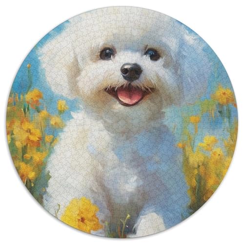 maltesisch 1000 Stück Kreisförmiges Puzzle Farbenfrohes Clever Rätsel Für Erwachsene Und Kinder 1000pcs (67.5x67.5cm) von BZZOLASP
