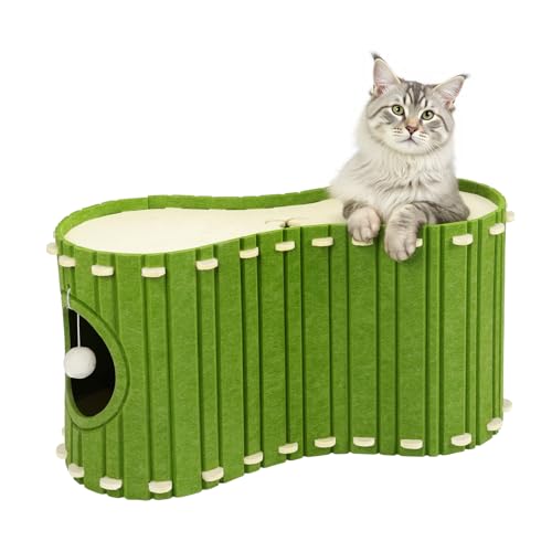 Babenest Katzentunnel Filz, Hochwertigem Katzenhöhle Haus mit Plüschen Spielzeug Ball bis zu 10kg, Indoor Abnehmbar Kratzbaum Katzenbett für Viele Katzen Schlafen, Spielen Verstecken (Beige und Grün) Babenest Katzentunnel Filz, Hochwertigem Katzenhöhle Haus mit Plüschen Spielzeug Ball bis zu 10kg, Indoor Abnehmbar Kratzbaum Katzenbett für Viele Katzen Schlafen, Spielen Verstecken (Beige und Grün) von Babenest