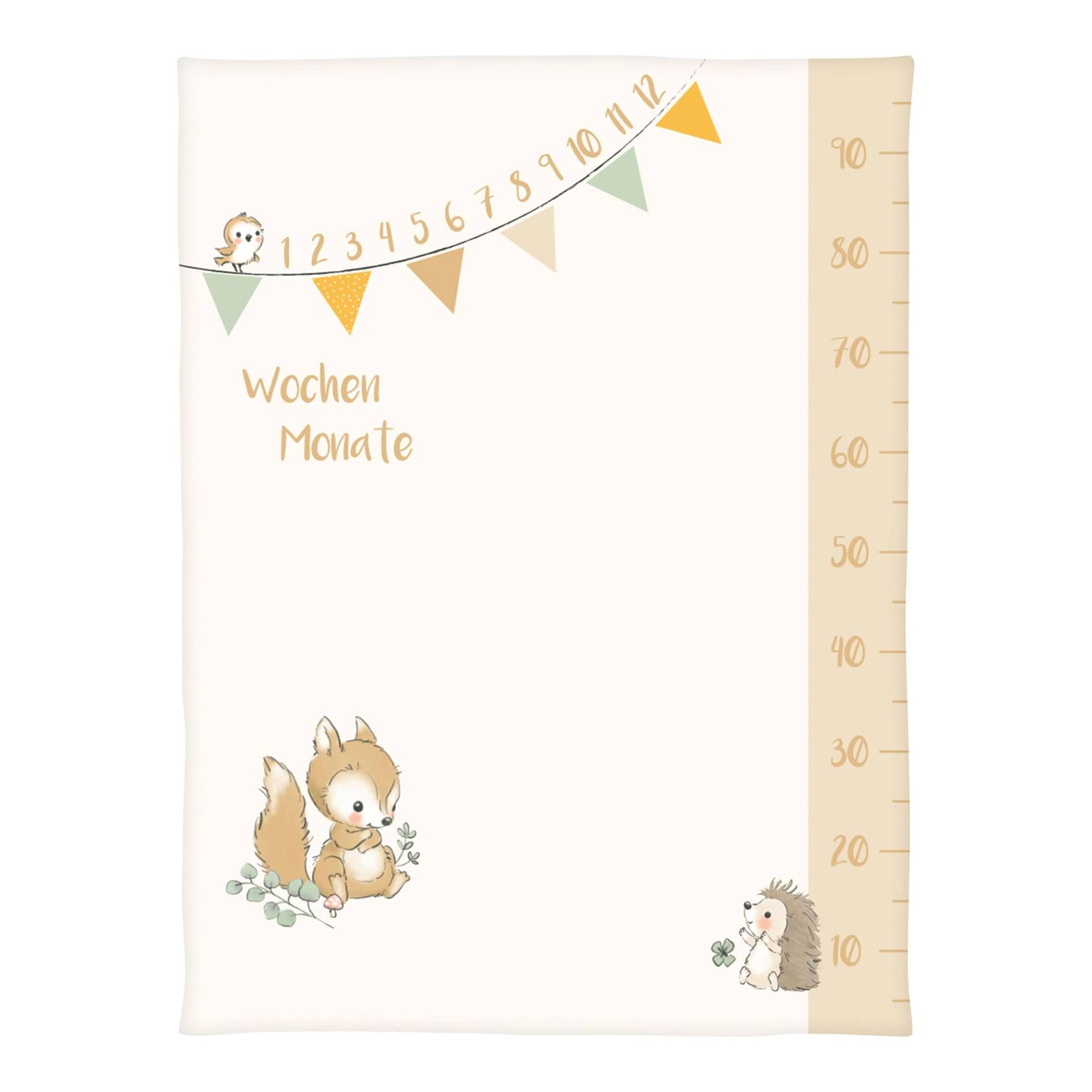 Baby Best Babydecke Microfaserflausch Meilenstein 75x100 cm Baby Best Babydecke Microfaserflausch Meilenstein 75x100 cm von Baby Best