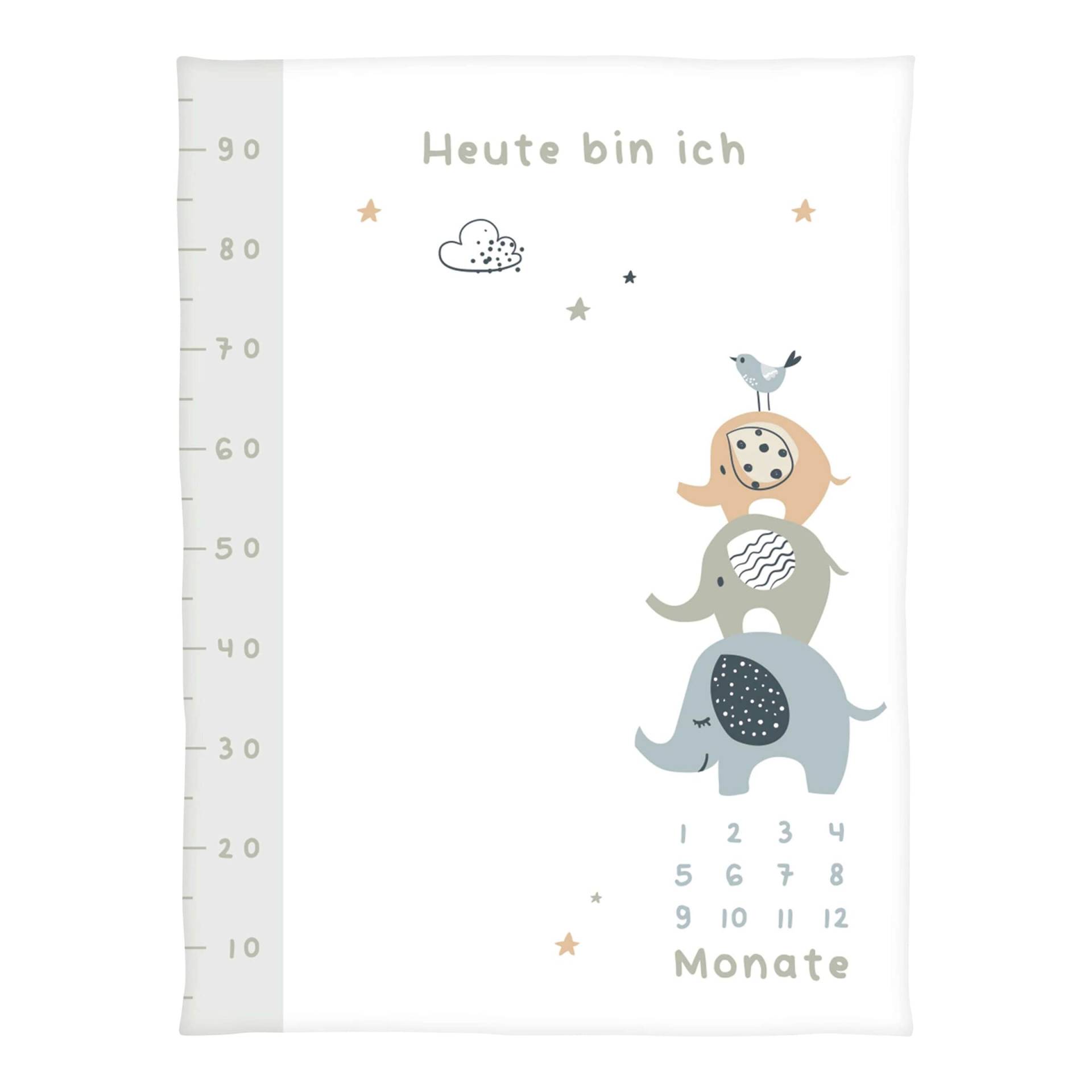 Baby Best Babydecke Microfaserflausch Meilenstein 75x100 cm von Baby Best