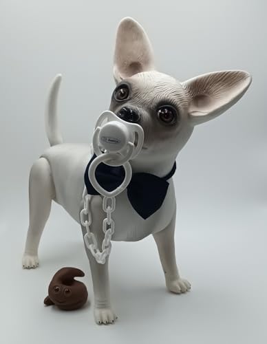 Baby Chihuahua, Weiß Baby Chihuahua, Weiß von Baby Chimp