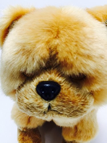 TY Beanie Baby - Zodiac The Chow Chow Dog von BabyCentre