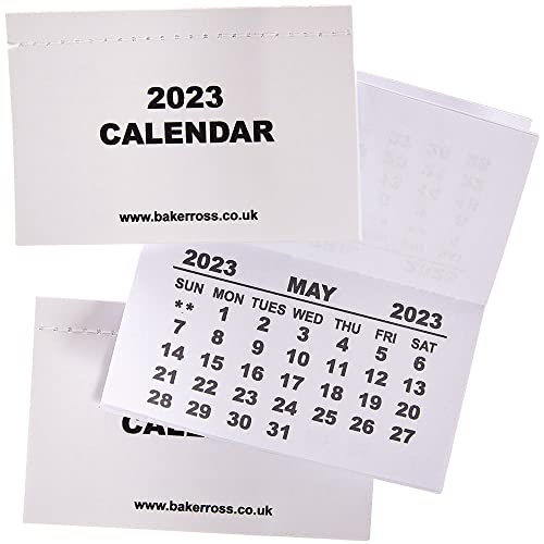 Baker Ross FX388 Kalenderblöcke 2023-Packung mit 20 Stück, Selbermachen, Wandkalender zum Basteln für Kinder, personalisierter Kalender von Baker Ross