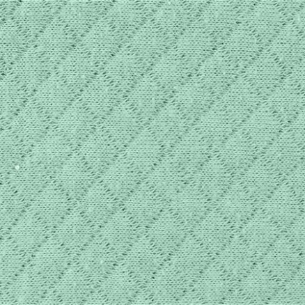 Baumwolljersey Double Face Stoff 426 Verblasst Grün - 50 cm von Balsløw