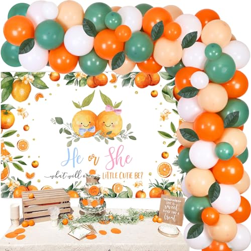 Balterever Orange Gender Reveal Party Decors He or She What Will Our Little Cutie Be Backdrop Gender Reveal Party with Balloon Arch Kit He or She Gender Reveal Supplies for Baby Shower Baby Birthday von Balterever