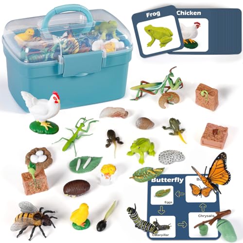 Lebenszyklus-Lernspielzeug für Kinder: Biowissenschaften Lernsets mit Schmetterling, Frosch, Huhn, Gottesanbeterin, Biene, Pflanzen, 25 Zahlen Montessori-Tierspielzeug für Kinder von Lebenszyklus-Lernspielzeug für Kinder: Biowissenschaften Lernsets mit Schmetterling, Frosch, Huhn, Gottesanbeterin, Biene, Pflanzen, 25 Zahlen Montessori-Tierspielzeug für Kinder von von Bambilo