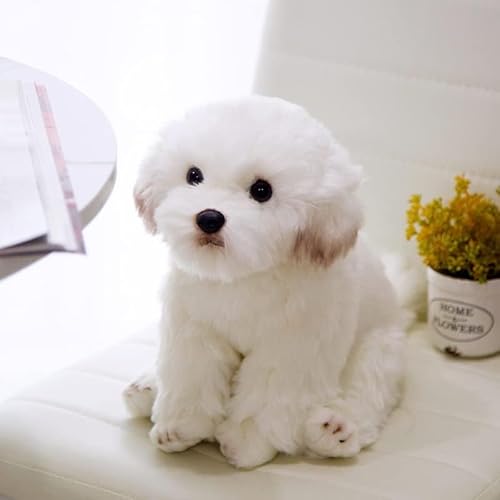 Bankeep Gefüllter Hund, Plüschtier, niedliche Simulation, Haustiere, Flauschige Puppen, Geburtstagsgeschenke für Kinder, Bichon Frise Puppy Bankeep Gefüllter Hund, Plüschtier, niedliche Simulation, Haustiere, Flauschige Puppen, Geburtstagsgeschenke für Kinder, Bichon Frise Puppy von Bankeep