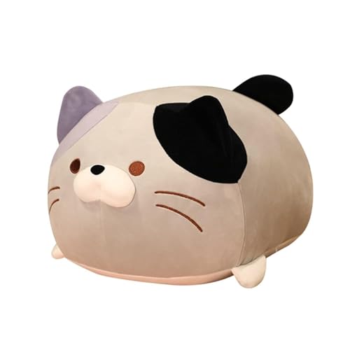 Bankeep Katze aus Plüsch, Tierkissen, Kuscheltier, Katze, Plüsch, niedliches Spielzeug, weiche Plüschpuppe, Kinder, schlafen, bequem, Kissen, Plüsch, Geschenk für Haustiere, Spielzeug Bankeep Katze aus Plüsch, Tierkissen, Kuscheltier, Katze, Plüsch, niedliches Spielzeug, weiche Plüschpuppe, Kinder, schlafen, bequem, Kissen, Plüsch, Geschenk für Haustiere, Spielzeug von Bankeep