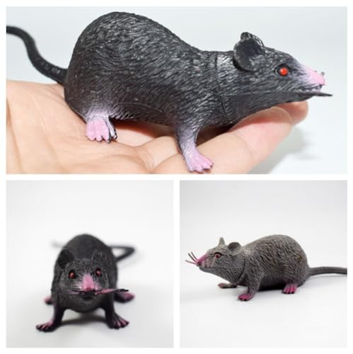 Banziaju Halloween -Spielzeug, 2pcs Realistische Mäuse Ratte Spielzeug für Halloween Streichprops gruselige Halloween Dekor Realistische Ratte Banziaju Halloween -Spielzeug, 2pcs Realistische Mäuse Ratte Spielzeug für Halloween Streichprops gruselige Halloween Dekor Realistische Ratte von Banziaju
