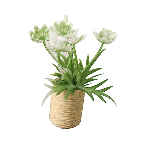 Baoblaze Künstlicher Bonsai, 1:12 Puppenhaus-Miniatur-Topfpflanze, Miniatur-Puppenhaus-Pflanzen, Miniatur-Topfpflanzen-Blumen für Wohnzimmer-Dekoration, Weiß Baoblaze Künstlicher Bonsai, 1:12 Puppenhaus-Miniatur-Topfpflanze, Miniatur-Puppenhaus-Pflanzen, Miniatur-Topfpflanzen-Blumen für Wohnzimmer-Dekoration, Weiß von Baoblaze