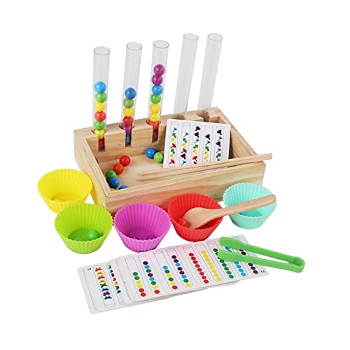 Baoblaze Montessori Kugeln in Tassen, Perlen Reagenzglas Spielzeug, Regenbogenkugeln in Bechern, Farbsortierung und -Zählung Spielzeug, Clip Perlen Puzzle Brettspiele für Kinder Vorschule von Baoblaze