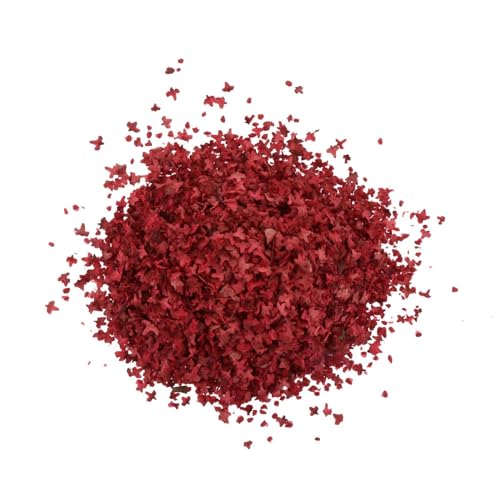 Baoblaze Realistische Miniaturblätter, Simulationsblätter für DIY-Minimodell, Eisenbahn, Feengarten, Architektur, Diorama-Landschaft, Rot Baoblaze Realistische Miniaturblätter, Simulationsblätter für DIY-Minimodell, Eisenbahn, Feengarten, Architektur, Diorama-Landschaft, Rot von Baoblaze