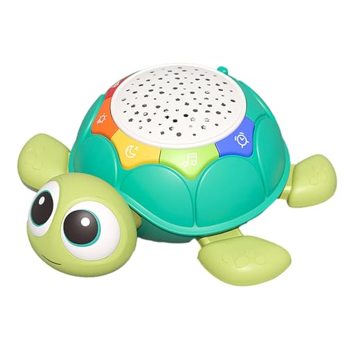 Baoblaze Schildkröte, Krabbelspielzeug für Babys, Frühes Lernen, Leuchtende Strumpffüller mit Timer, Krabbelspielzeug für Babys Im Alter von 12–18 Monaten Baoblaze Schildkröte, Krabbelspielzeug für Babys, Frühes Lernen, Leuchtende Strumpffüller mit Timer, Krabbelspielzeug für Babys Im Alter von 12–18 Monaten von Baoblaze