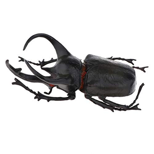 B Baosity Realistische Plastik Insekten Käfer Figuren Fälschen Würmer für Halloween Party Gefälligkeiten - Nanyang Käfer B Baosity Realistische Plastik Insekten Käfer Figuren Fälschen Würmer für Halloween Party Gefälligkeiten - Nanyang Käfer von B Baosity