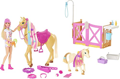 Barbie HGB58 - Frisier- und Reitspaß, Reitset mit Pferd, Pony, Puppe und über 20 Zubehörteilen, für Kinder ab 3 Jahren von Barbie