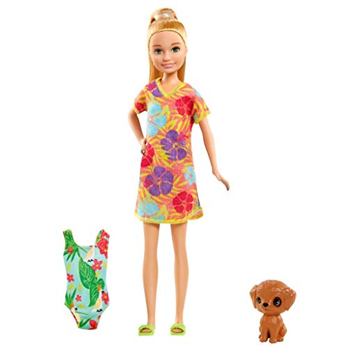 Barbie GRT89 - Barbie und Chelsea „Der verrückte Geburtstag“ Stacie-Puppe und Zubehör, für Kinder von 3 bis 7 Jahren von Barbie