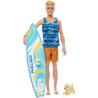 MATTEL HPT50 Barbie Ken Surfer-Puppe & Accy MATTEL HPT50 Barbie Ken Surfer-Puppe & Accy von Barbie