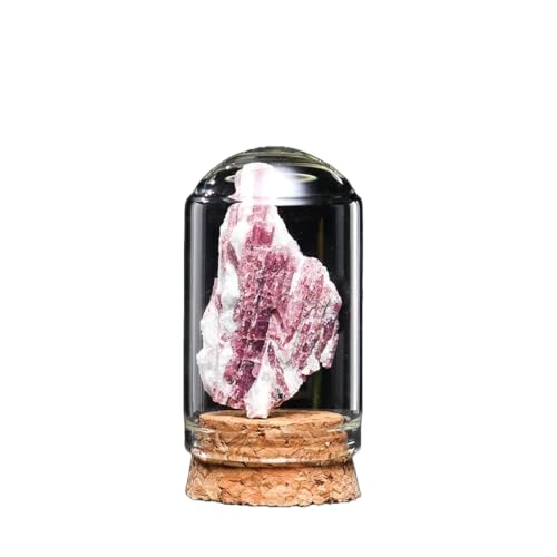 BaronHong Rohstein-Mineralprobe, Kristallornamente, dekorative Naturkristalle, unregelmäßige Steinsammlung, Geschenk (Pflaumenblüte-Turmalin, M) von BaronHong