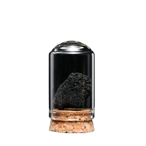 BaronHong Rohstein-Mineralprobe, Kristallornamente, dekorative Naturkristalle, unregelmäßige Steinsammlung, Geschenk (Vulkanstein, M) von BaronHong