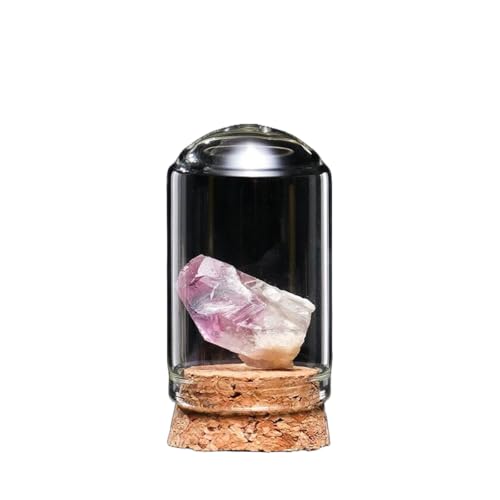 BaronHong Rohstein-Mineralprobe, Kristallornamente, dekorative Naturkristalle, unregelmäßige Steinsammlung, Geschenk (brasilianische Amethystzähne, M) von BaronHong