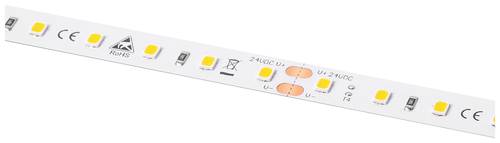 Barthelme LEDlight flex 16 10 LITE RGB, Rolle 500cm 50415331 LED-Streifen 24V 500cm RGB 5m von Barthelme