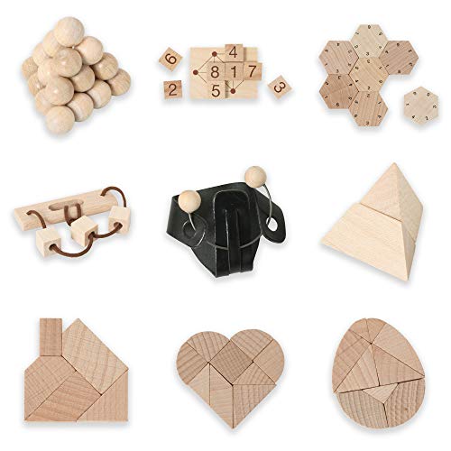 Bartl 500267 Knobelspiele aus Holz Puzzle Set D (9 Puzzles) Geschicklichkeitsspiele für Erwachsene und Kinder von Bartl
