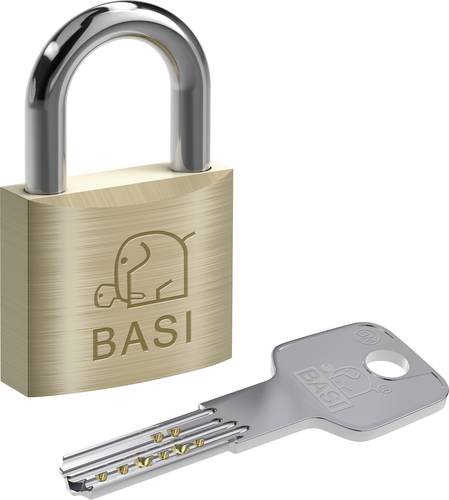 Basi BM5091-0050-0040 Vorhängeschloss gleichschließend Schlüsselschloss von Basi