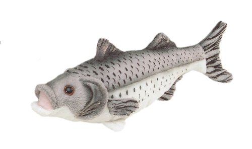 Bauer Spielwaren "Blickfänger" Seebarsch: Naturgetreues Kuscheltier aus weichem Plüsch, ideal als Geschenk, waschbar, 25 cm, weiß-grau (14056) von Bauer Spielwaren