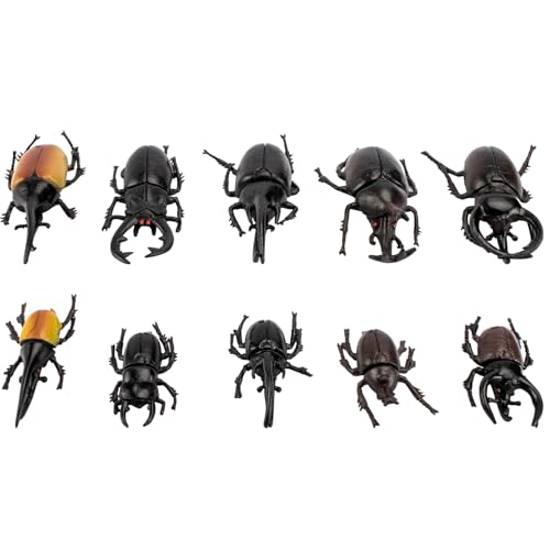 Bbiamsleep 10 Stück Käferfiguren, realistische Käferfiguren, Modelle für Garten, Tier, Simulierter Käfer, Figuren Bbiamsleep 10 Stück Käferfiguren, realistische Käferfiguren, Modelle für Garten, Tier, Simulierter Käfer, Figuren von Bbiamsleep