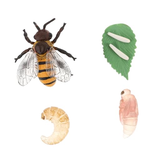 Beaupretty 1 Satz Simulation Bienenmodell Pädagogisches für Veranschaulichung des Wachstumszyklus von Honigbienen für Lernspiele und Kreative Präsentationen von Beaupretty