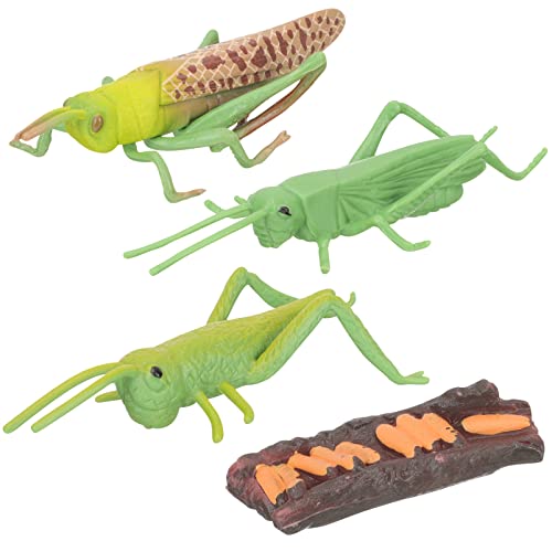 Beaupretty 1 Satz Tierlebenszyklus Modell Teiliges Lernspielzeug für Interaktive Tierfiguren zur Frühen für Jungen und Mädchen Pädagogische Spielzeuge für Kreatives Lernen Beaupretty 1 Satz Tierlebenszyklus Modell Teiliges Lernspielzeug für Interaktive Tierfiguren zur Frühen für Jungen und Mädchen Pädagogische Spielzeuge für Kreatives Lernen von Beaupretty