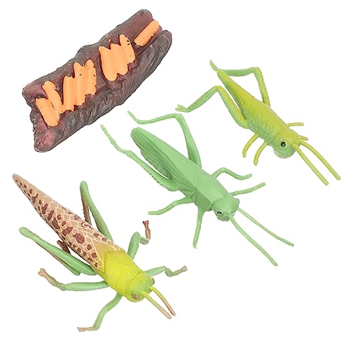 Beaupretty 1 Satz Tierwachstumszyklus Modellen Pädagogisches Tiermodell für Lernspielzeug Natur und Tierkenntnisse Teiliges für Frühkindliche Bildung Beaupretty 1 Satz Tierwachstumszyklus Modellen Pädagogisches Tiermodell für Lernspielzeug Natur und Tierkenntnisse Teiliges für Frühkindliche Bildung von Beaupretty