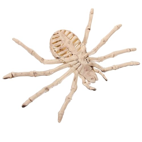 Beaupretty 1 Stück Halloween Skelett Spinne Deko Gruselige Halloween Dekoration für Garten und Innenräume Beige mit Zufälliger Augenfarbe für Partys und Spukhäuser Zufällige von Beaupretty