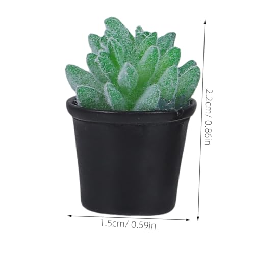 Beaupretty 10 Stück Teiliges Mini Sukkulenten Künstliche Miniatur Topfpflanzen Bunte Mini Bonsai Modelle Lebensechte Dekoration für Puppenhaus DIY Basteln Platzsparend Vielseitig für von Beaupretty