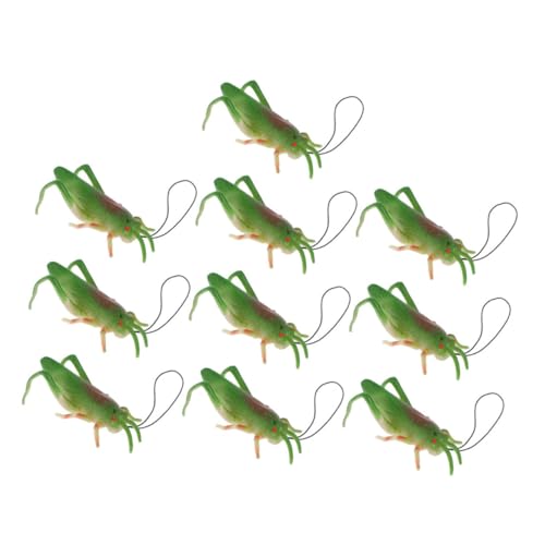 Beaupretty 10 Stück Teiliges Realistische TPR Heuschrecken Tierfiguren für Entdeckung Lernspielzeug Vielseitige Deko und Partygeschenke Langlebige Desktop Modelle Beaupretty 10 Stück Teiliges Realistische TPR Heuschrecken Tierfiguren für Entdeckung Lernspielzeug Vielseitige Deko und Partygeschenke Langlebige Desktop Modelle von Beaupretty