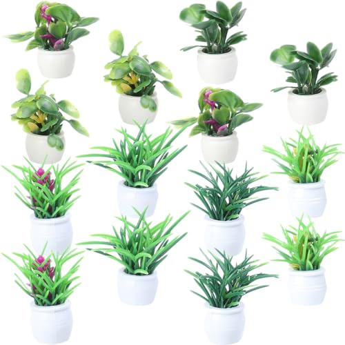 Beaupretty 14 Stück Teiliges Mini Bonsai Modell für Mikrolandschaften DIY Zubehör für Puppenhaus und Sandtischdekoration Pflegeleicht und Platzsparend Beaupretty 14 Stück Teiliges Mini Bonsai Modell für Mikrolandschaften DIY Zubehör für Puppenhaus und Sandtischdekoration Pflegeleicht und Platzsparend von Beaupretty