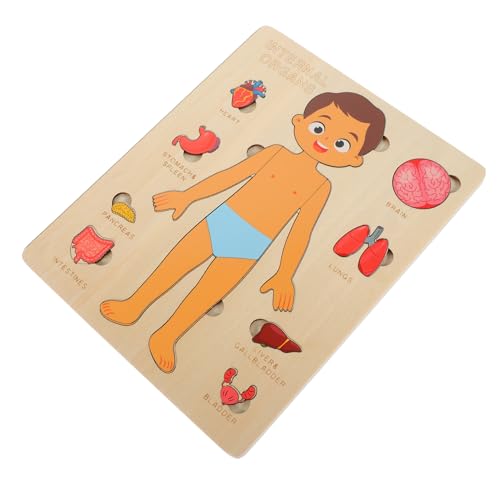 Beaupretty 1Satz Körperpuzzle für Holz Puzzle mit Menschlichen Organen Lernspielzeug für Jungen und Mädchen Frühbildung und Anatomiekenntnisse von Beaupretty