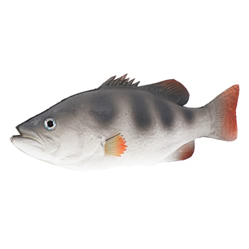 Beaupretty 1Stück Fisch Dekorationsartikel Realistisches Simulation Fischmodell für Aquarium und Desktop Dekoration Lernspielzeug für Fantasie von Beaupretty