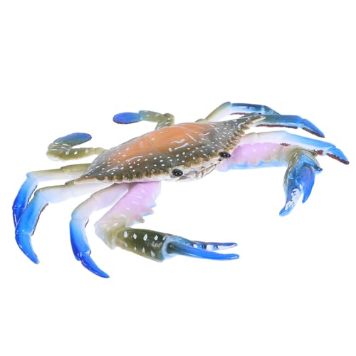 Beaupretty 1Stück Kunststoff Krabbenfigur Realistische Dekoration für Kinderzimmer Wohnzimmer Garten Hochwertige Simulation von Meeresorganismen als für Kleine Beaupretty 1Stück Kunststoff Krabbenfigur Realistische Dekoration für Kinderzimmer Wohnzimmer Garten Hochwertige Simulation von Meeresorganismen als für Kleine von Beaupretty