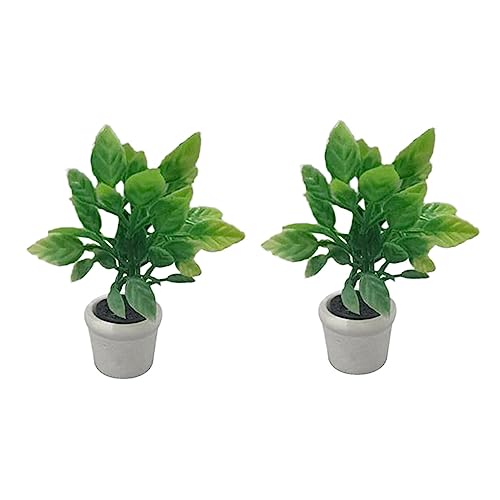 Beaupretty 2 Stück Mini Bonsai Kunstpflanze für Puppenhaus Dekorative Topfpflanzen für Diorama Modellbau Realistische Grüne Pflanzen für Innenräume Sicher und Praktisch Beaupretty 2 Stück Mini Bonsai Kunstpflanze für Puppenhaus Dekorative Topfpflanzen für Diorama Modellbau Realistische Grüne Pflanzen für Innenräume Sicher und Praktisch von Beaupretty