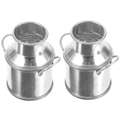 Beaupretty 2 Stück Miniatur Milchkanne Mini Metall Eimer Mini Blumentopf Miniaturdekoration für Puppenhaus Mikrolandschaft Lernspielzeug Tischdeko von Beaupretty