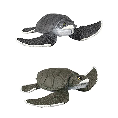 Beaupretty 2 Stück Realistische Schildkröten Modelle Simulierte Meerestiere Figuren für Lernen und Spiel im und Außenbereich von Beaupretty