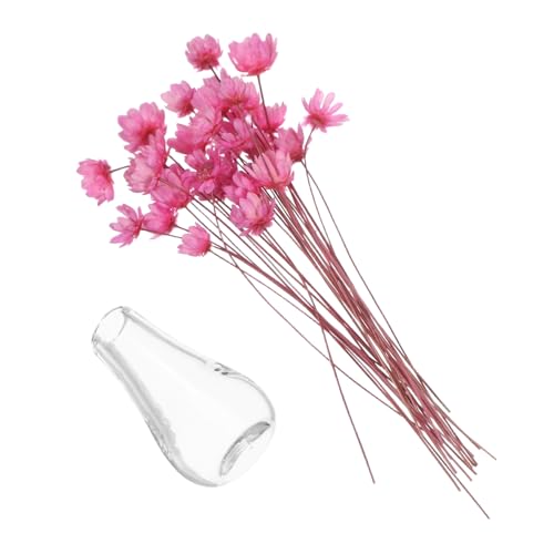 Beaupretty 2 Stück Teiliges Miniatur-glasvase mit Getrockneten Blumen Kleine Mini-pflanzenvasen für Puppenhaus-dekor DIY Bastelset mit Winzigen Glasvasen und Filigranen Trockenblumen für Beaupretty 2 Stück Teiliges Miniatur-glasvase mit Getrockneten Blumen Kleine Mini-pflanzenvasen für Puppenhaus-dekor DIY Bastelset mit Winzigen Glasvasen und Filigranen Trockenblumen für von Beaupretty