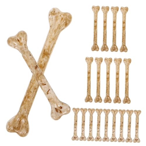 Beaupretty 20 Stück Teiliges Halloween Deko Knochen Realistische Künstliche Knochen mit Skelettmodelle Groß und Klein DIY Anhänger Mehrzweck Halloween Dekoration und Partyzubehör Beaupretty 20 Stück Teiliges Halloween Deko Knochen Realistische Künstliche Knochen mit Skelettmodelle Groß und Klein DIY Anhänger Mehrzweck Halloween Dekoration und Partyzubehör von Beaupretty