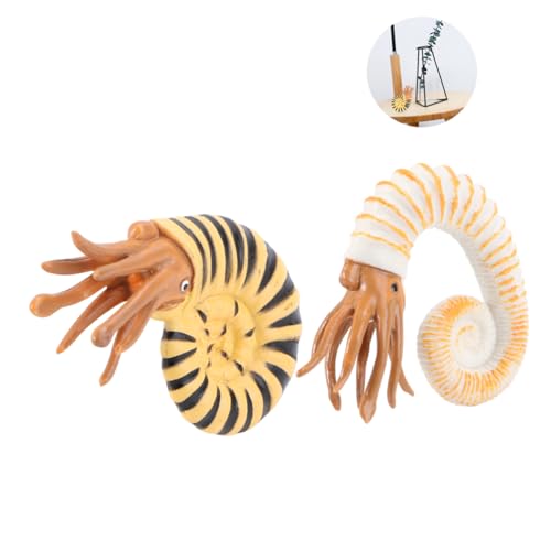 Beaupretty 2Stücke Schneckenmodell Simulierte Meeresbewohner Figuren für Kreative Deko für Miniaturorte Langlebig für Geburtstagsfeiern und von Beaupretty