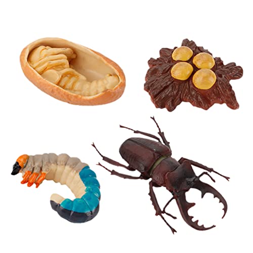 Beaupretty 4 Stück Lernspielzeug Teiliges Insektenmodell aus Robustem Realistische Tierfiguren für Bildungszwecke Kreative Rollenspiele und Dekoration Geeignet für Mädchen Garten Spiele und von Beaupretty