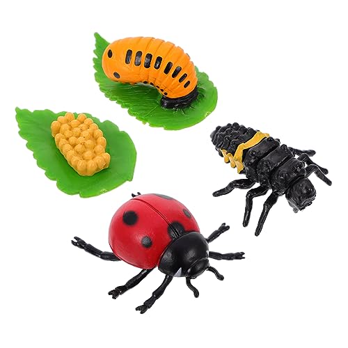 Beaupretty 4 Stück Teiliges Lebenszyklus Figuren Realistische Insektenmodelle zur des Lernens für Lehrmittel und Dekoration von Beaupretty
