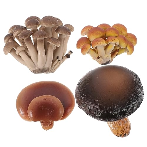 Beaupretty 4 Stück Teiliges Pilzwachstumszyklus Lernspielzeug aus PVC Naturgetreue Pilzfigur Pädagogisches Modellset zur Wissenschaftsbildung Kognitives Kinderspielzeug für von Beaupretty