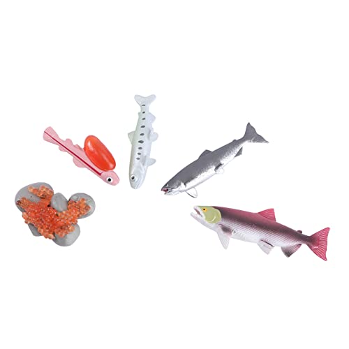Beaupretty 4 Stück Teiliges Set Modellspielzeug für Kognitives Lernspielzeug zur Frühen Bildung Realistisches Fischmodell für Kreative Spiele und Dekoration Zufällige Farbe Zufällige Farbe von Beaupretty