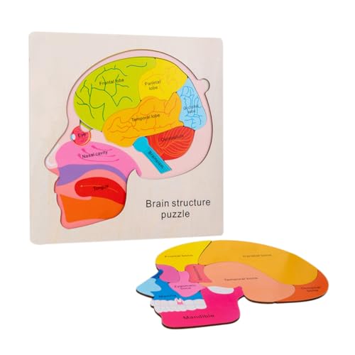 Beaupretty Brain Structure Puzzle für Holzspielzeug Kognitiven Fähigkeiten mit Kreativen Lernpuzzles für Interaktive Eltern Junge Mädchen Spiele Fördert Logisches und Gedächtnis von Beaupretty